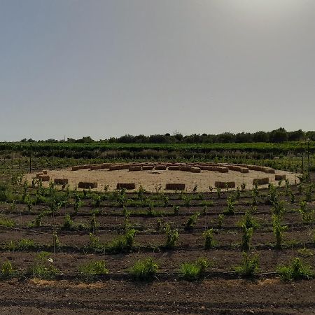 그라넬리 Cozzo Del Parroco - Ospitalita Tra I Vigneti 빌라 외부 사진