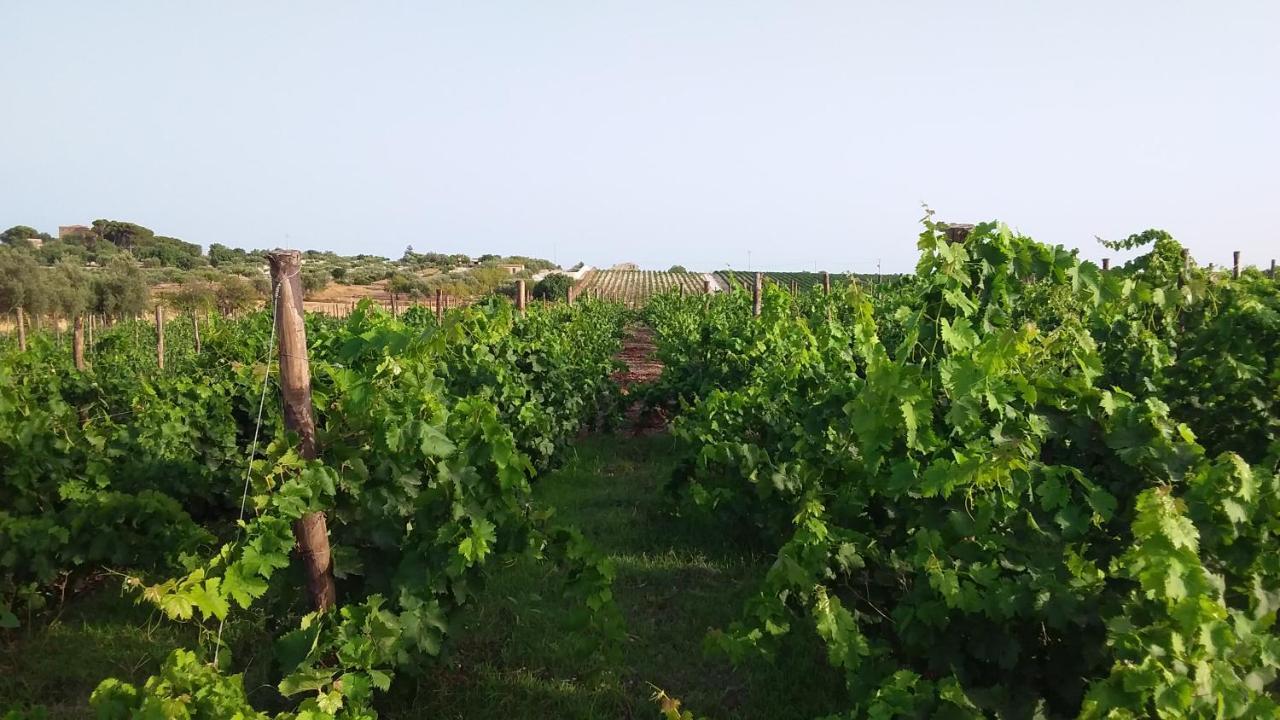 그라넬리 Cozzo Del Parroco - Ospitalita Tra I Vigneti 빌라 외부 사진