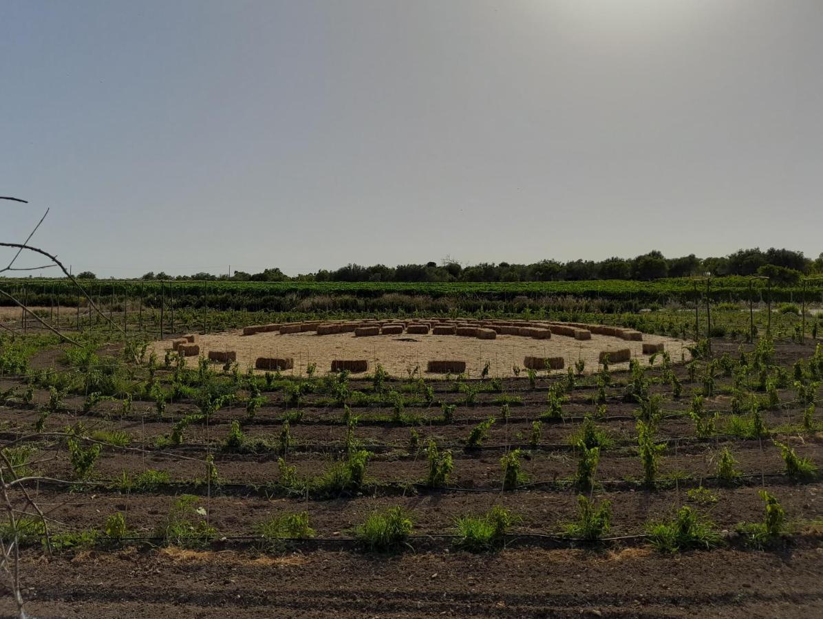 그라넬리 Cozzo Del Parroco - Ospitalita Tra I Vigneti 빌라 외부 사진